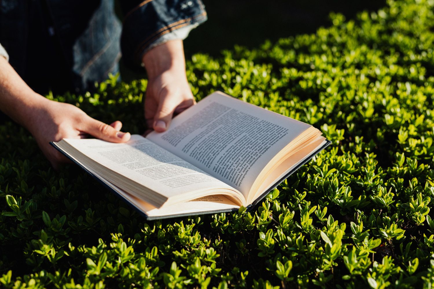 Cientistas explicam como a leitura pode proteger o cérebro contra o declínio cognitivo