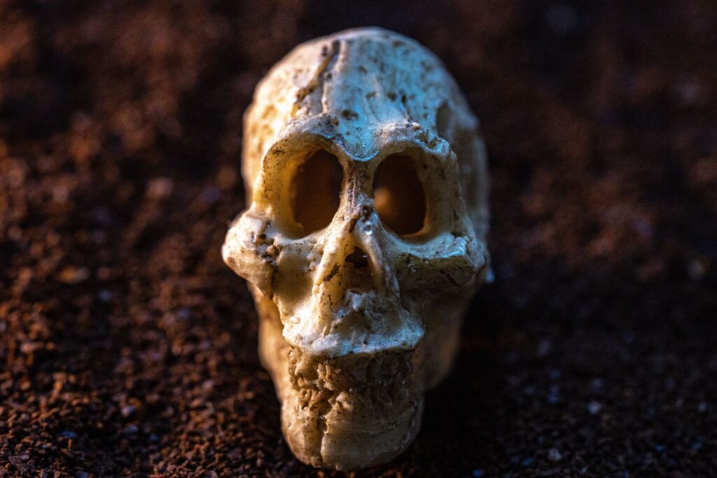 UCientistas encontraram 20 hominíneos em uma caverna mas um detalhe nos esqueletos abriu um mistério ainda maior