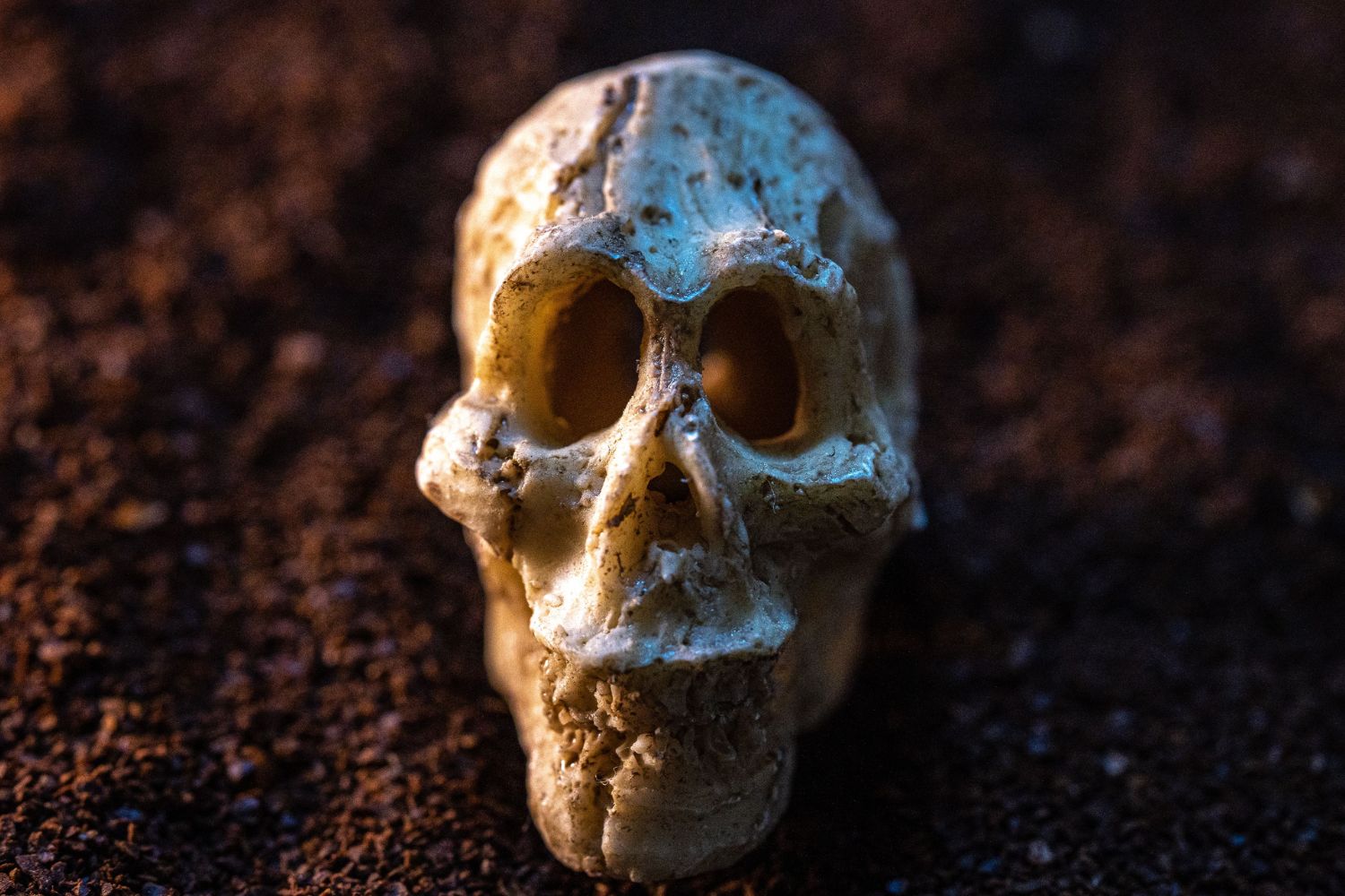 UCientistas encontraram 20 hominíneos em uma caverna mas um detalhe nos esqueletos abriu um mistério ainda maior