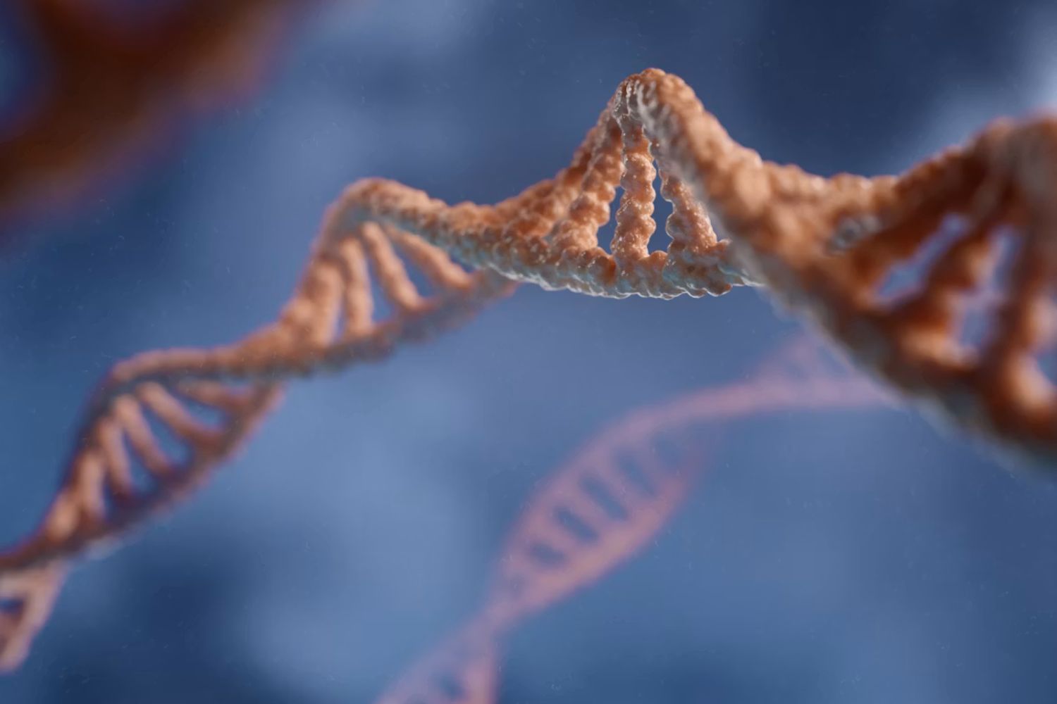 Cientistas extraem DNA de adolescentes que viveram há quase 10 mil anos