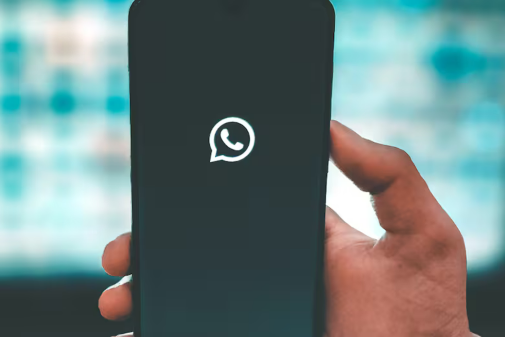 Whatsapp Lixo