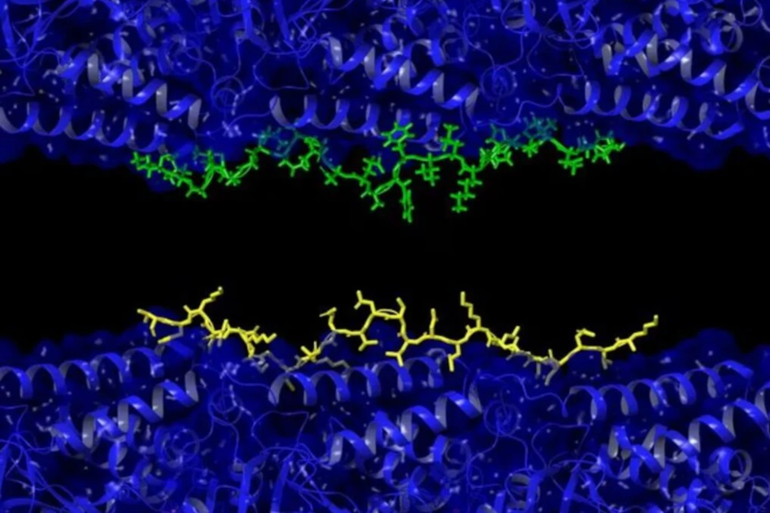 Microscópica1