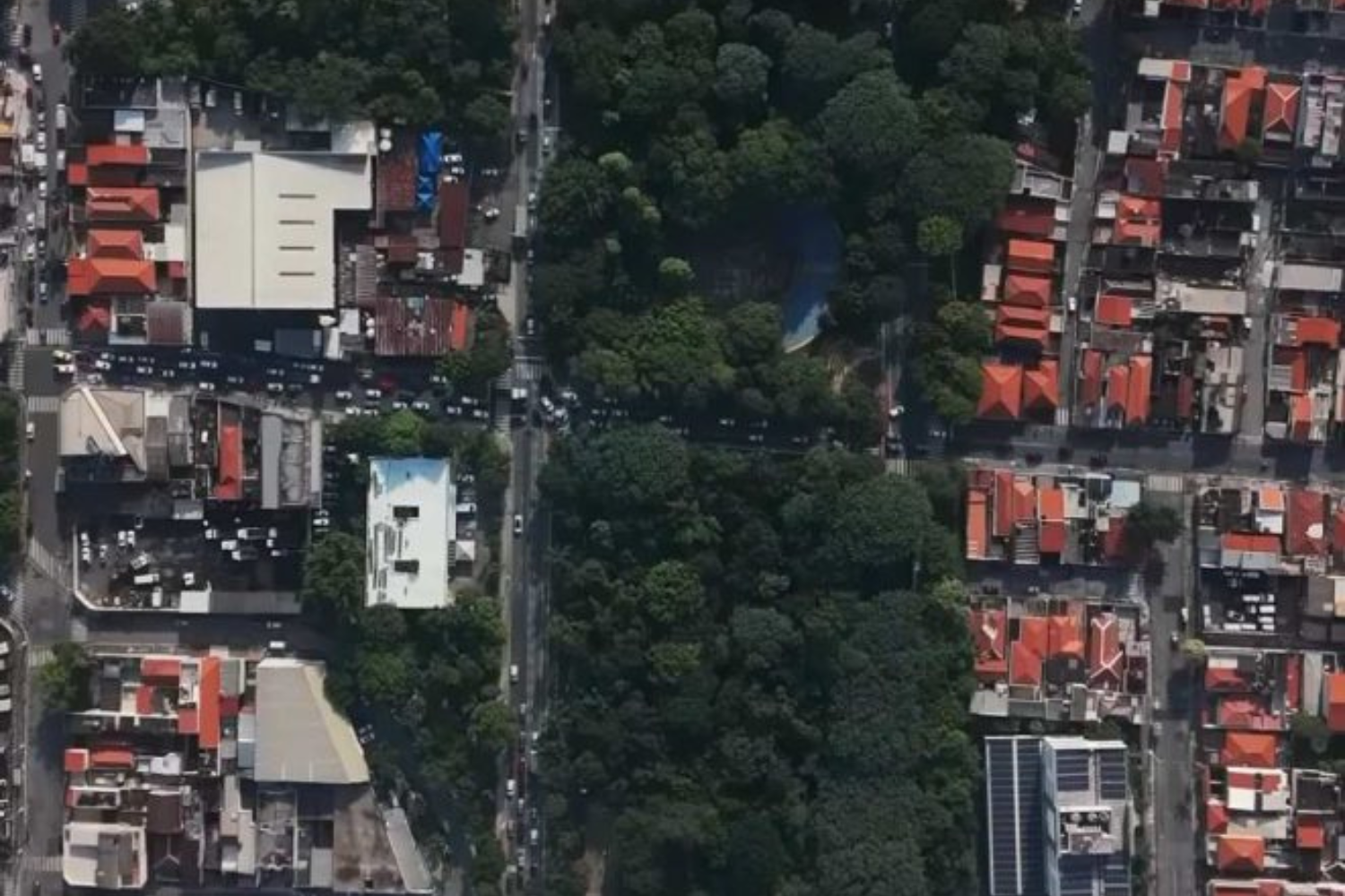Aposentado Planta Mais De 41 Mil árvores E Transforma área Degradada Em Um Dos Maiores Corredores Verdes Urbanos