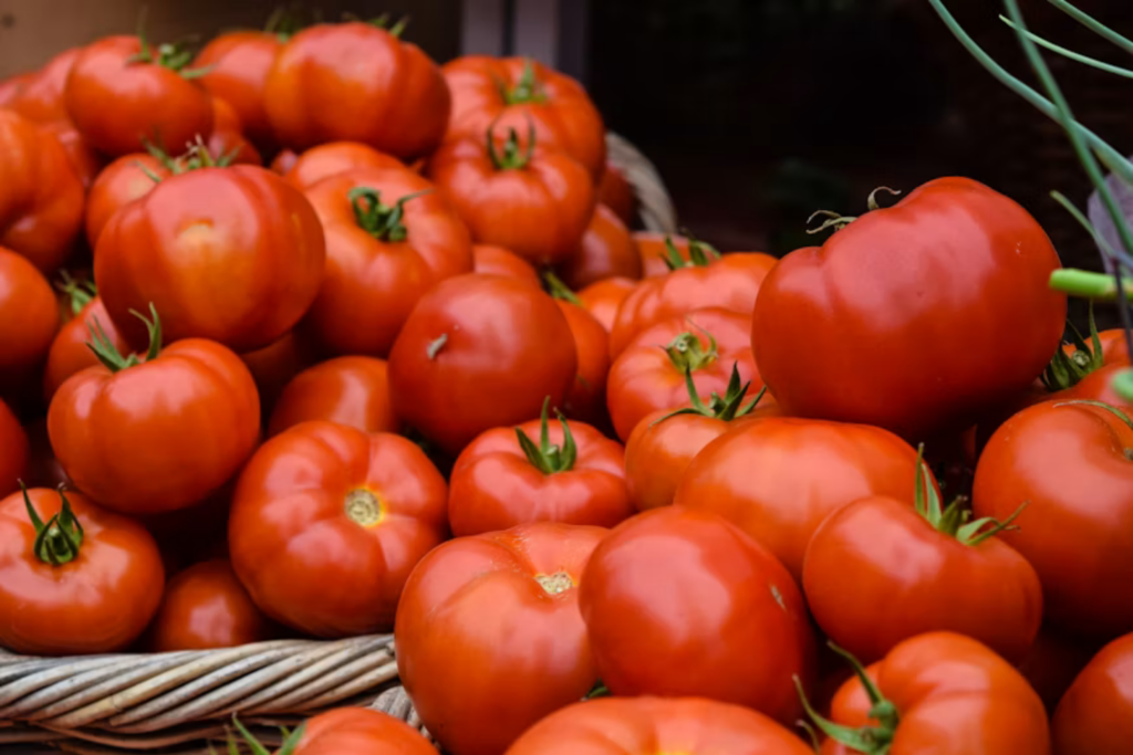 Como Cultivar Tomates Em Um Caixote De Feira Método Simples Permite Colher Mesmo Sem Quintal