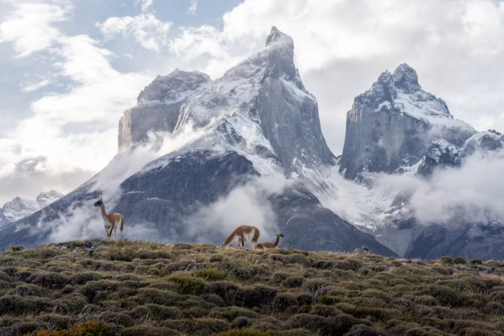 Descoberta Nos Andes Pode Revelar Novas Pistas Sobre A Origem Da Vida Na Terra