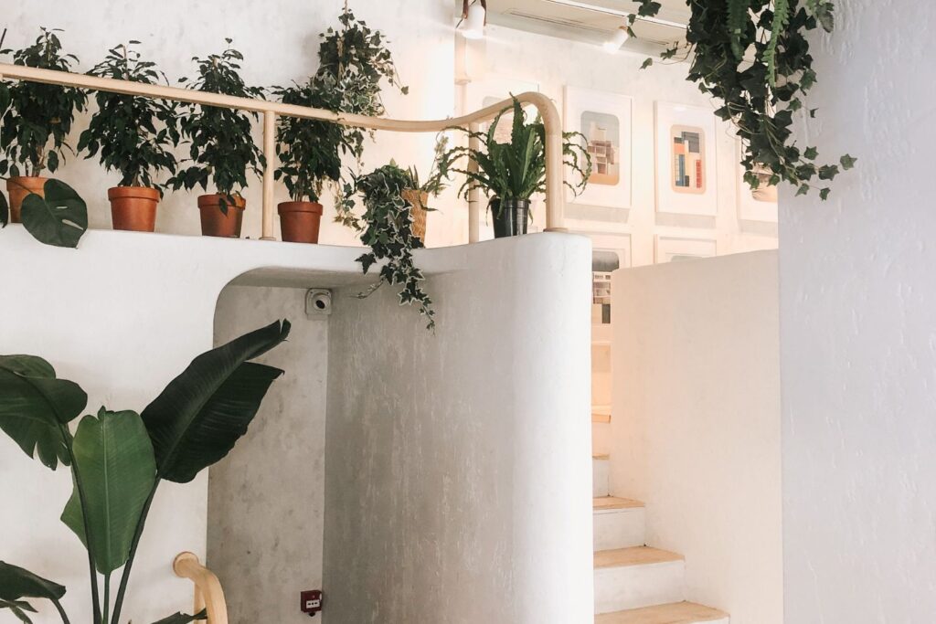 A ciência explica por que colocar plantas em casa faz muito mais do que decorar