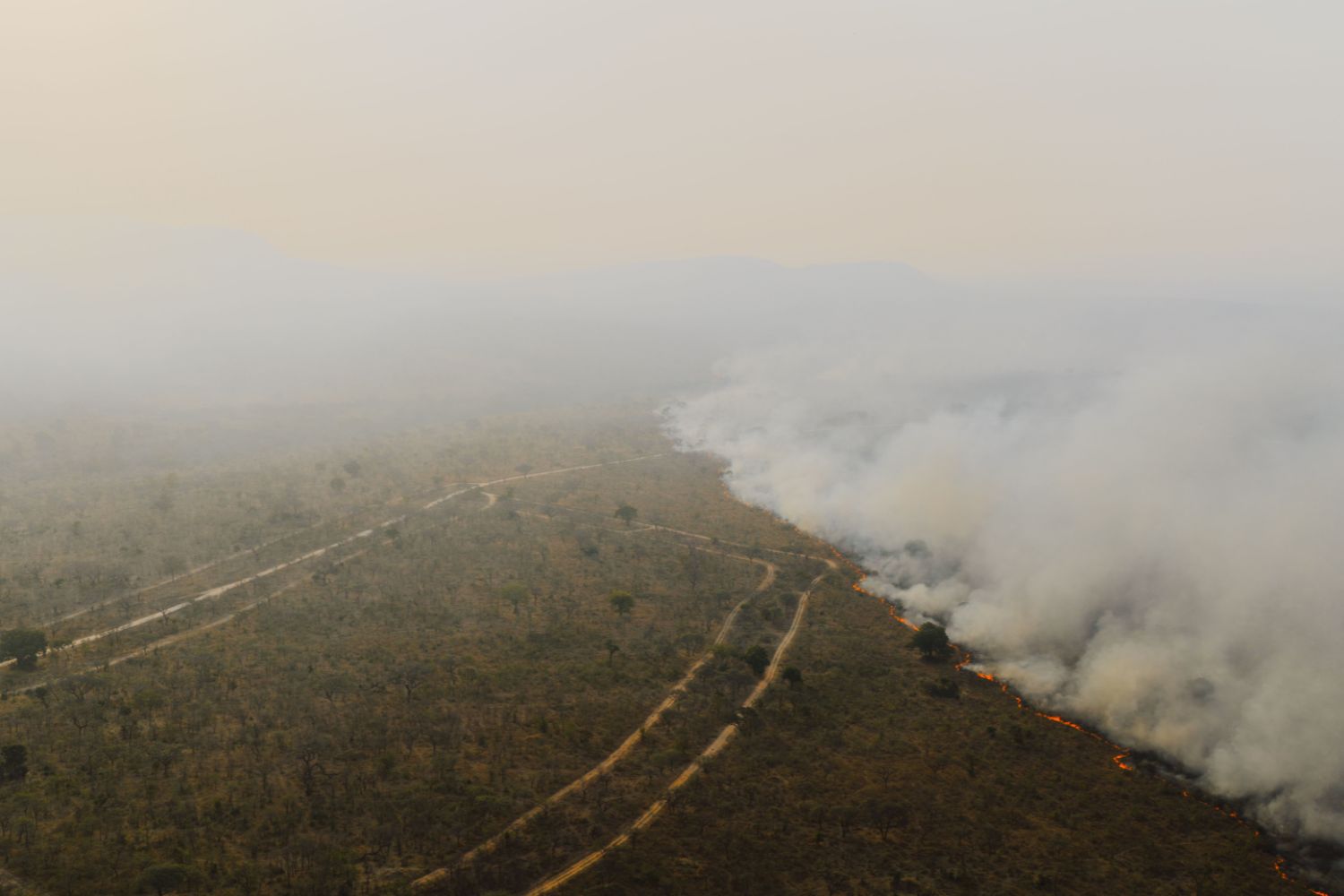 Brasil prepara plano para enfrentar o El Niño e proteger a safra de 2026/27