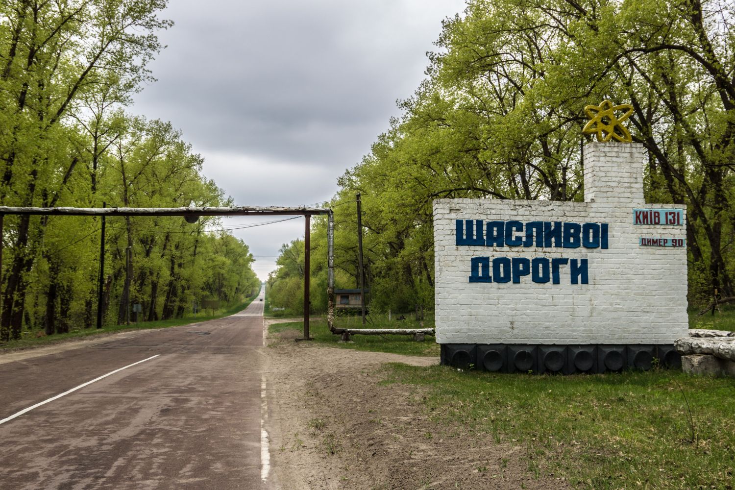 O surpreendente renascimento de Chernobyl: por que uma das regiões mais perigosas do planeta virou refúgio para a vida selvagem
