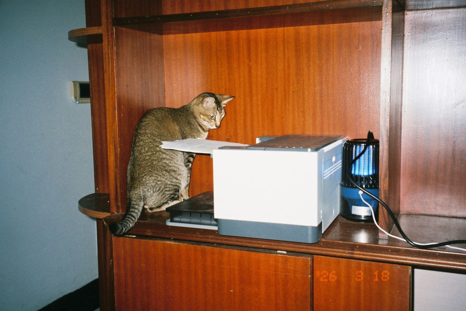 Um momento de frustração dentro de casa acabou transformando a tecnologia para sempre