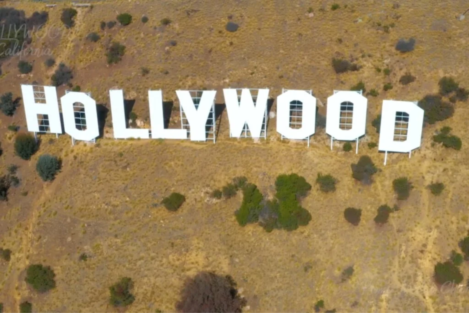 Hollywood7