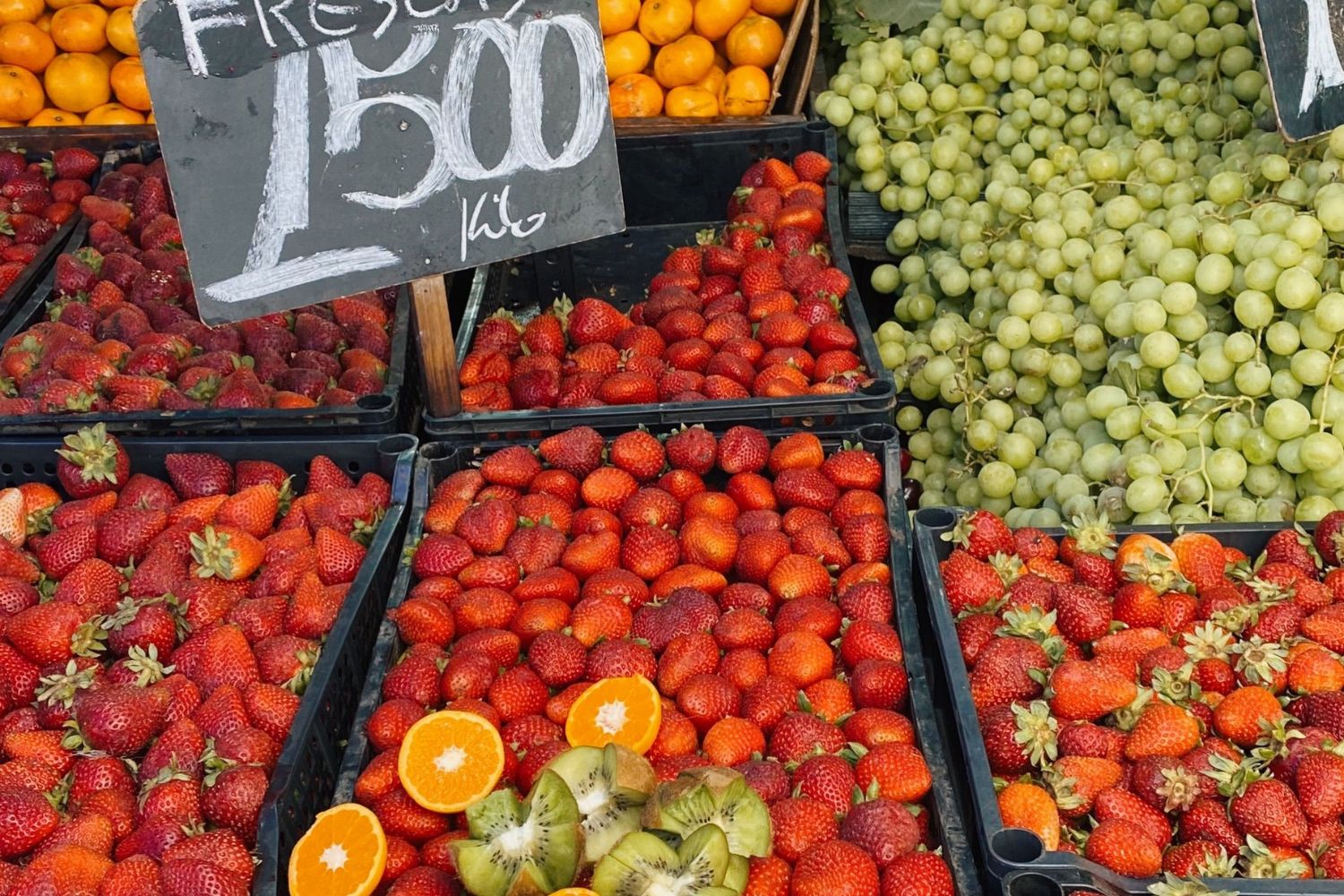 Nova York vai abrir supermercados públicos para vender alimentos mais baratos