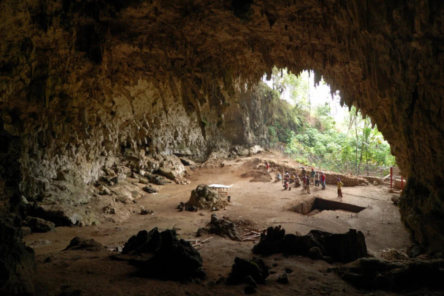 Os Hobbits Da Indonésia Talvez Não Caçassem Grandes Animais — Estudo 1