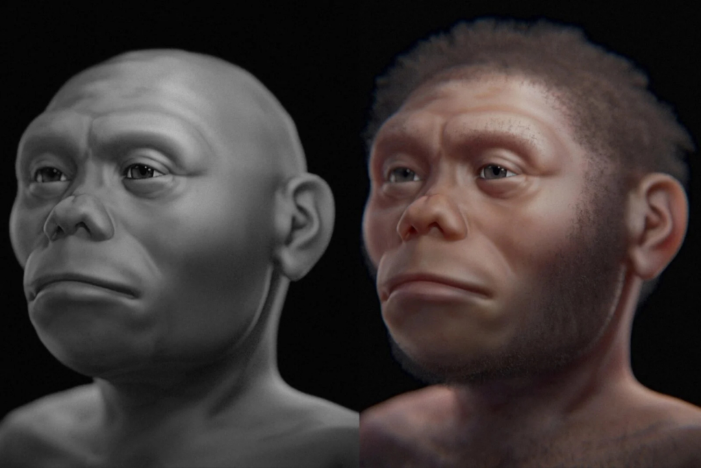 Os Hobbits Da Indonésia Talvez Não Caçassem Grandes Animais — Estudo Sugere Que Eles Roubavam Alimento Dos Dragões De Komodo