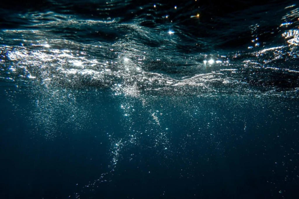 Os Oceanos Da Terra Estão Perdendo Oxigênio Rapidamente — E Isso Pode Desestabilizar O Planeta, Alertam Cientistas