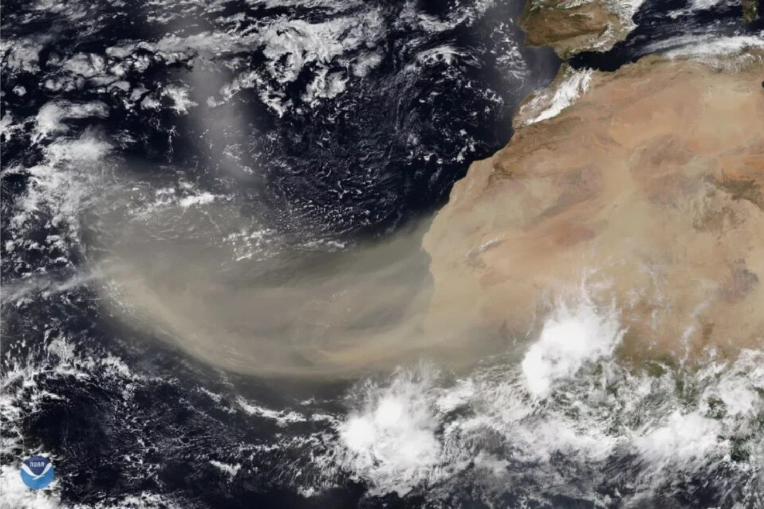 Poeira Do Saara Cruza O Atlântico E Muda O Clima Nos Estados Unidos Entenda Por Que O Fenômeno Deixa O Céu Mais Bonito, Aumenta O Calor E Reduz A Formação De Tempestades