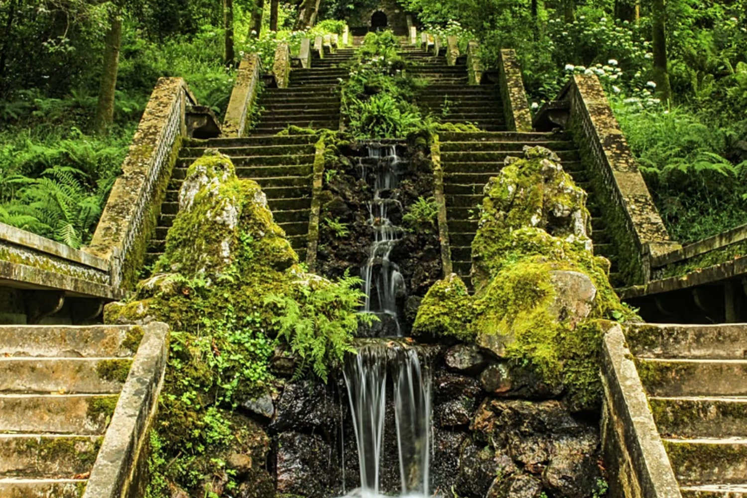 Portugal Inaugura O Primeiro Bosque Terapêutico Da Península Ibérica — E Ele Já Está Entre Os Quatro únicos Do Mundo
