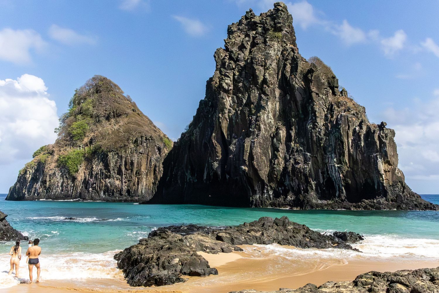 O sumiço dos golfinhos em Fernando de Noronha preocupa cientistas e ninguém consegue apontar uma única causa