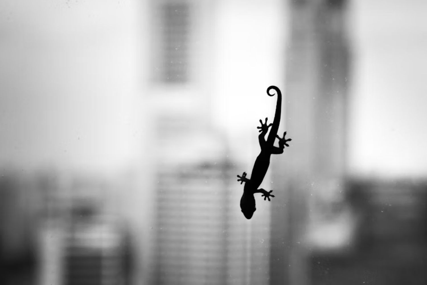 Este pequeno lagarto pode ajudar cientistas a desvendar um dos maiores mistérios do câncer