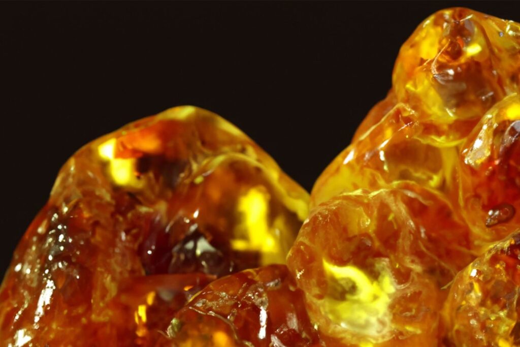 Cientistas encontram o âmbar mais antigo da Terra e ele existia muito antes dos dinossauros