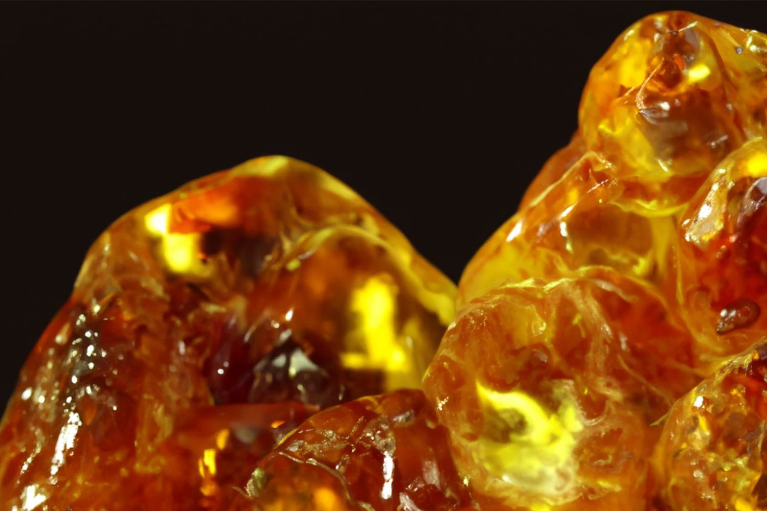 Cientistas encontram o âmbar mais antigo da Terra e ele existia muito antes dos dinossauros