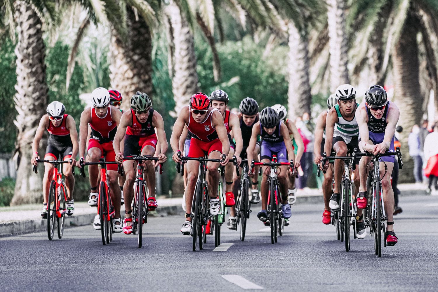 A inteligência artificial já chegou ao ciclismo e está mudando a forma como campeões são preparados
