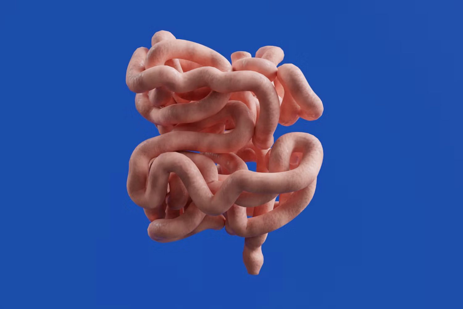 Uma frase dita há 2.400 anos por Hipócrates ganha força à medida que a ciência desvenda o intestino