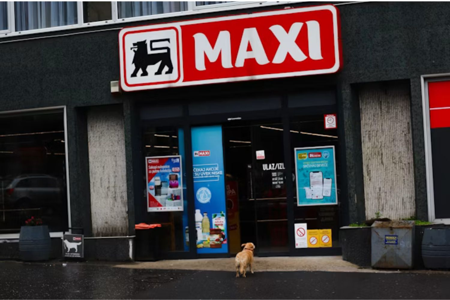 A solução que supermercados estão adotando para cães está chamando atenção na Europa