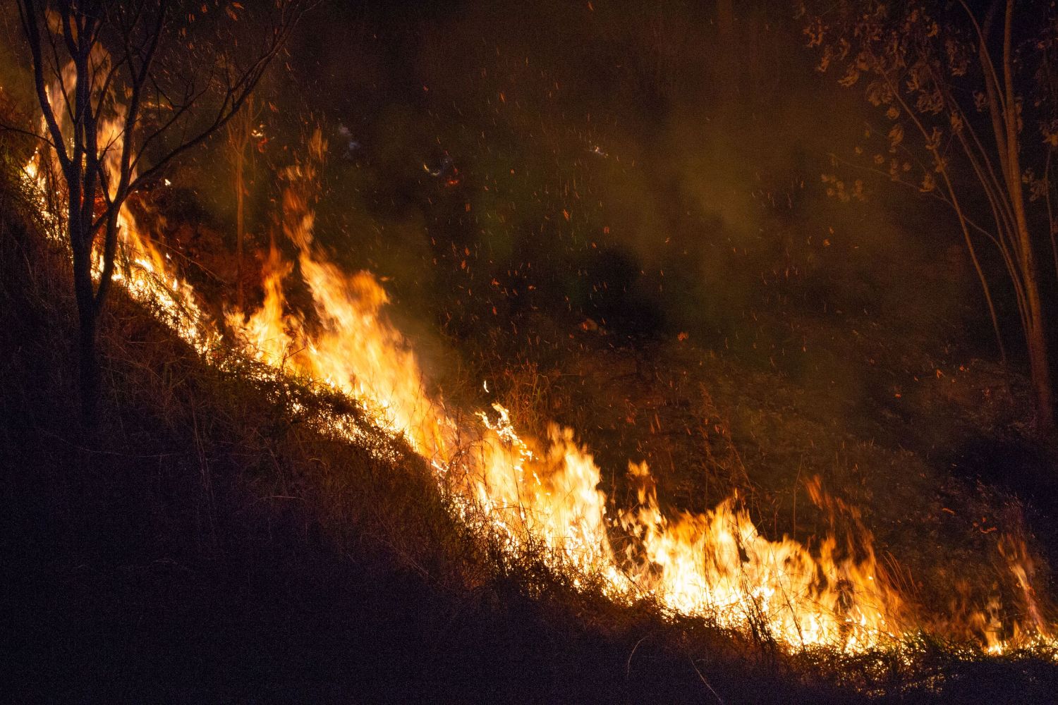 França bate recorde histórico de incêndios enquanto fogo avança também na Espanha