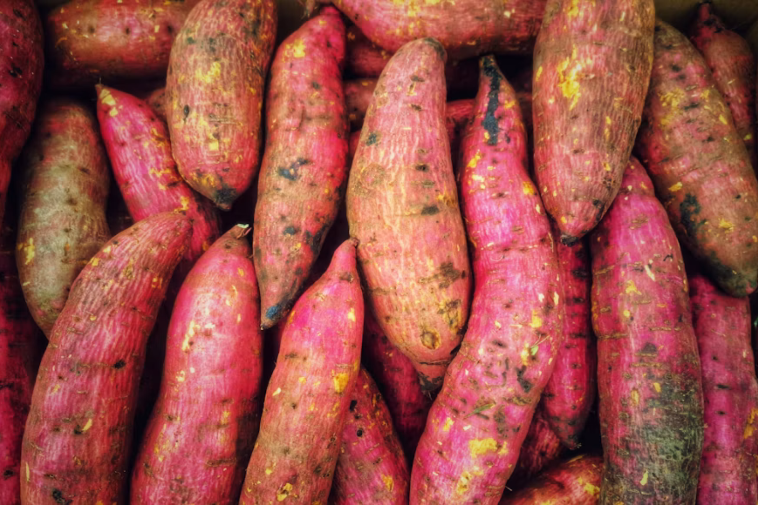 Batata Doce