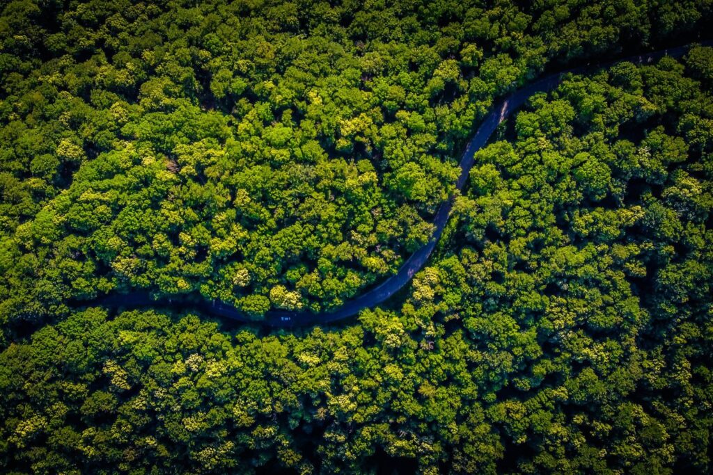 Uma civilização perdida sob a Amazônia surpreende cientistas: milhares de estruturas revelam um passado que ninguém imaginava