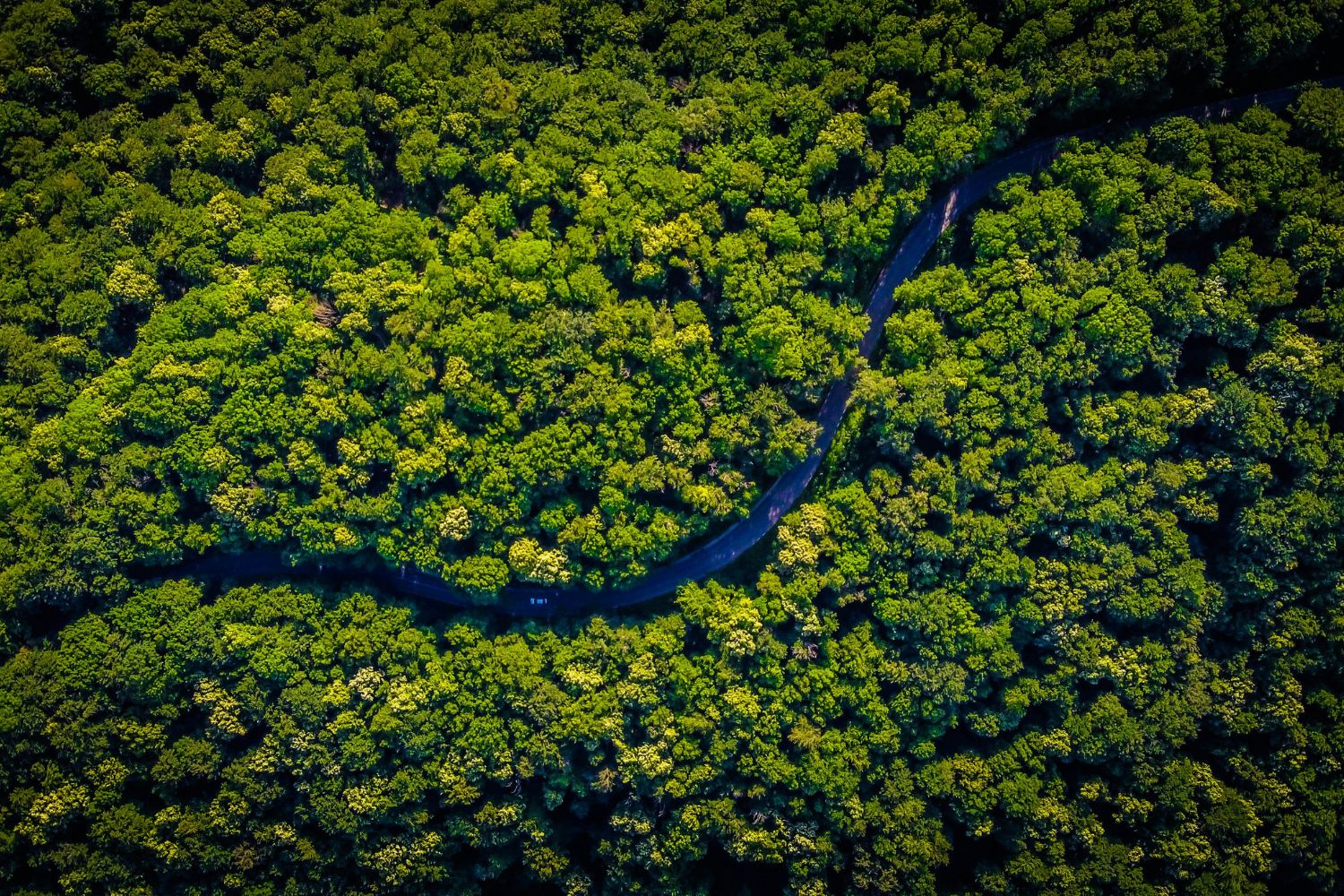 Uma civilização perdida sob a Amazônia surpreende cientistas: milhares de estruturas revelam um passado que ninguém imaginava