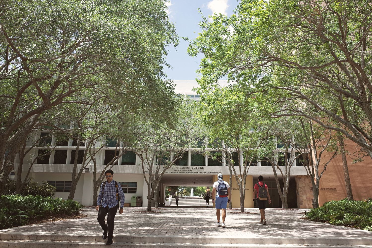 A luta contra as mudanças climáticas pode estar ignorando um conhecimento essencial e as universidades têm papel decisivo nisso