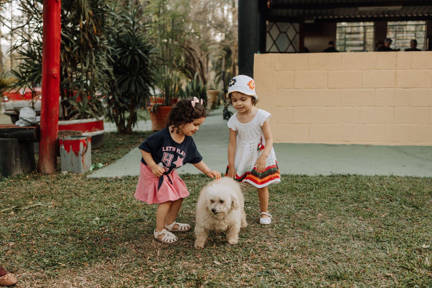 Crianças que crescem com cães podem ganhar uma proteção inesperada já no primeiro ano de vida