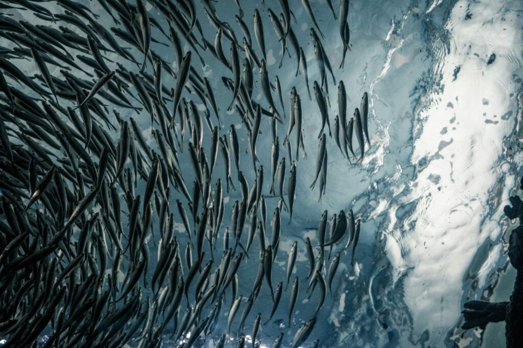 Cientistas detectam uma mudança silenciosa nas águas do planeta que pode durar séculos