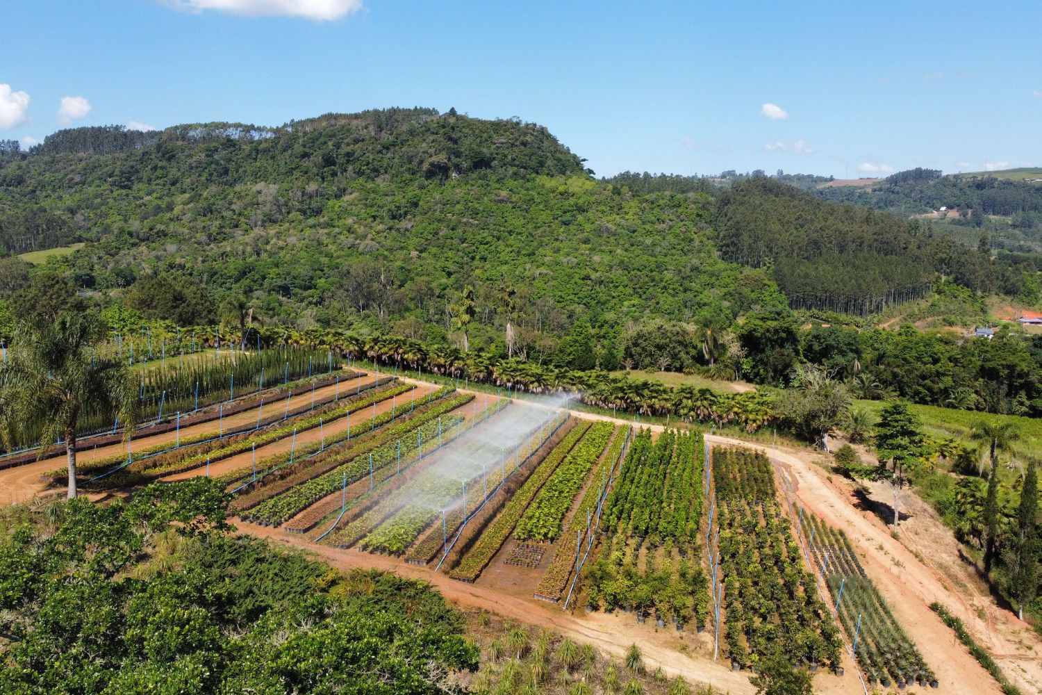 A China está mudando a paisagem de seus desertos e a tecnologia por trás do projeto impressiona