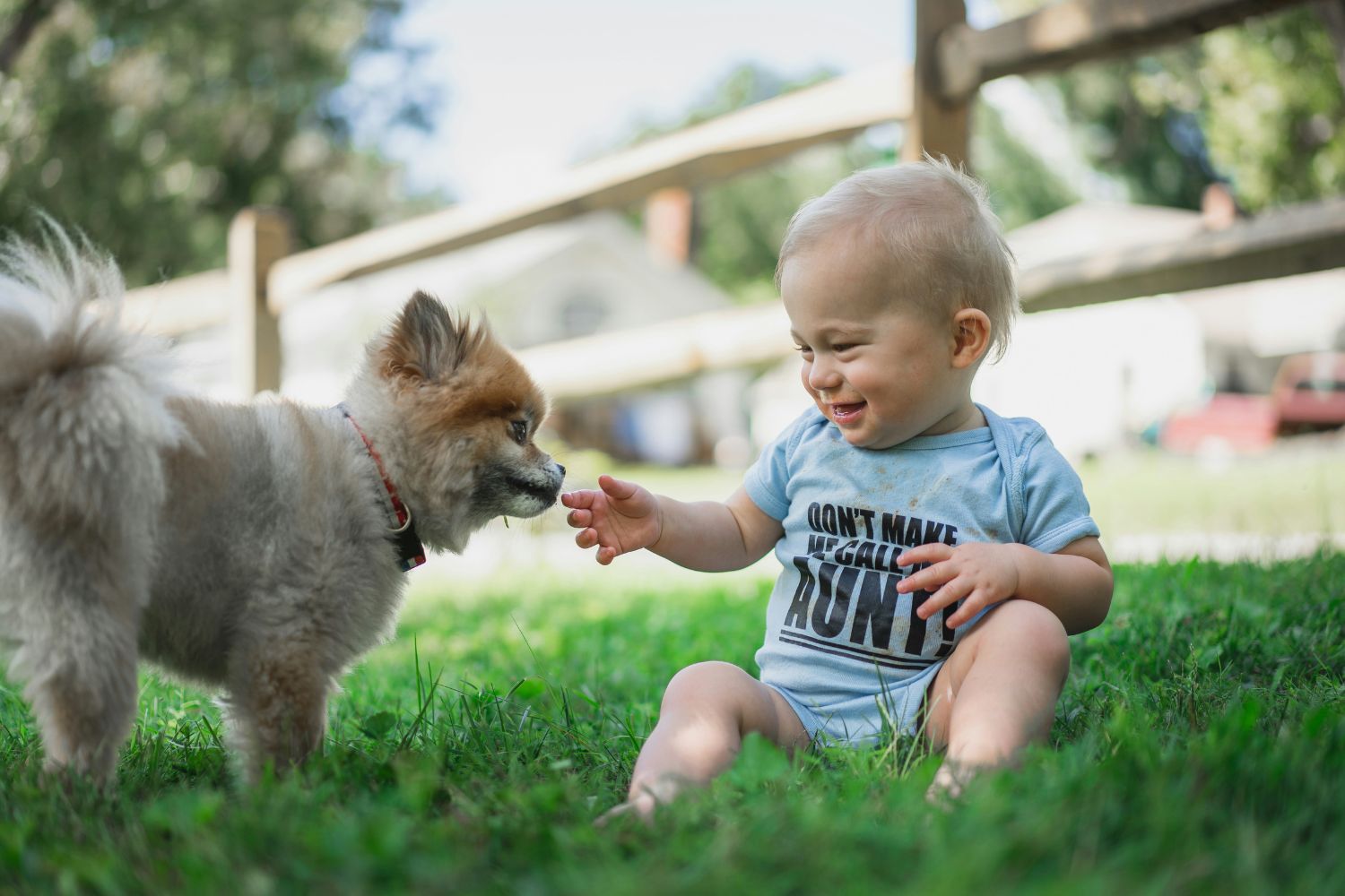 Crianças que crescem com cães podem ganhar uma proteção inesperada já no primeiro ano de vida