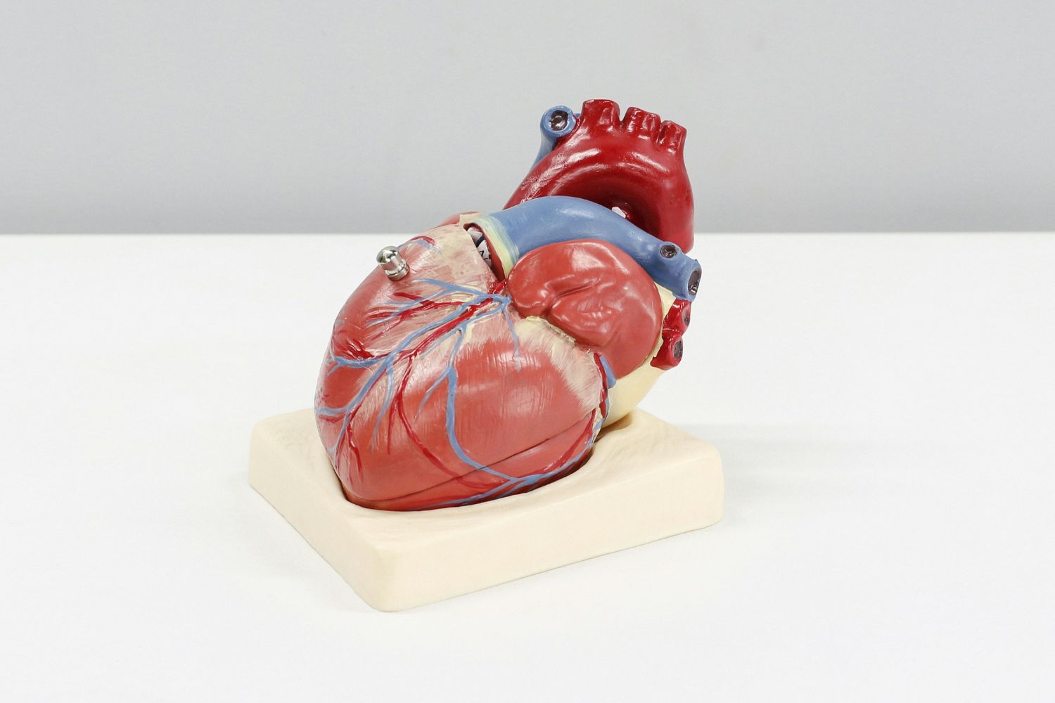 Ela tem apenas 25 anos e desenvolveu um gel que pode ajudar o coração a reparar danos deixados por um infarto
