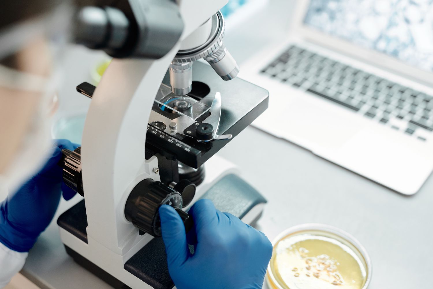 Cientistas descobriram que algo começa a invadir nosso cérebro a partir da meia-idade e isso pode mudar o que sabemos sobre o envelhecimento