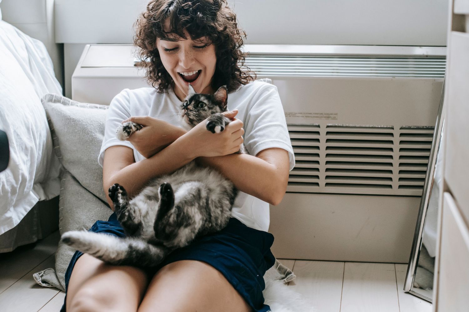 Seu gato percebe quando você ri, chora ou grita, mas a ciência descobriu um detalhe surpreendente