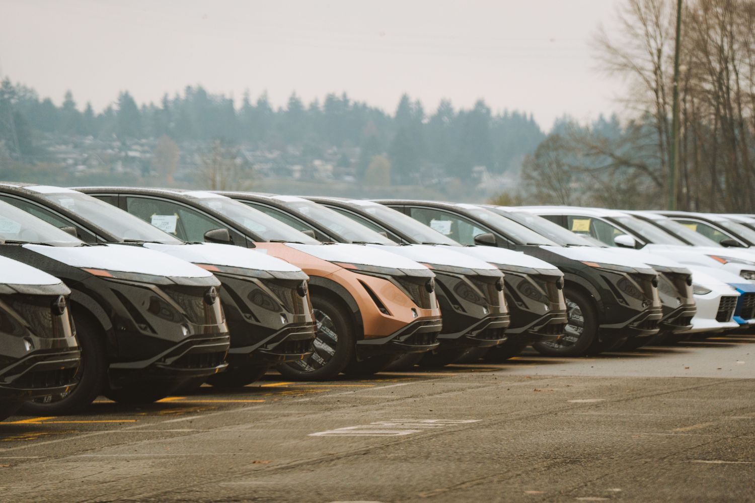 China leva tecnologia dos carros elétricos para o campo e mira um mercado gigantesco