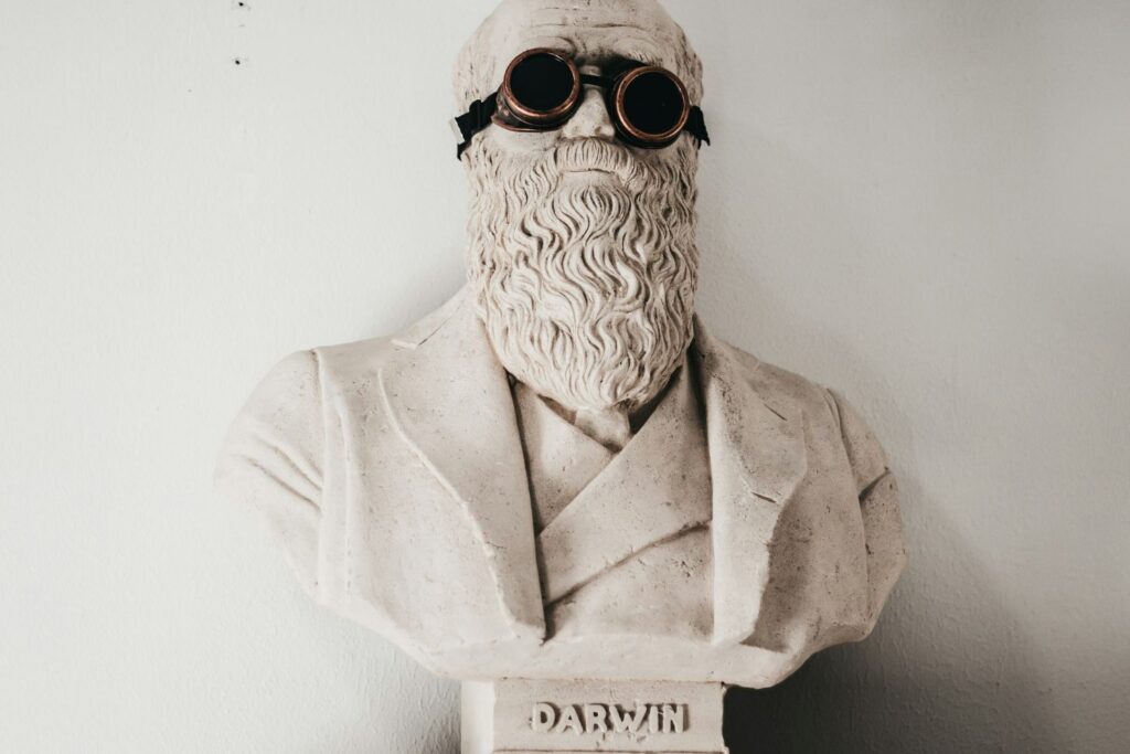 Darwin sospechou há 150 anos que esta pequena planta escondia um segredo: agora a ciência confirmou