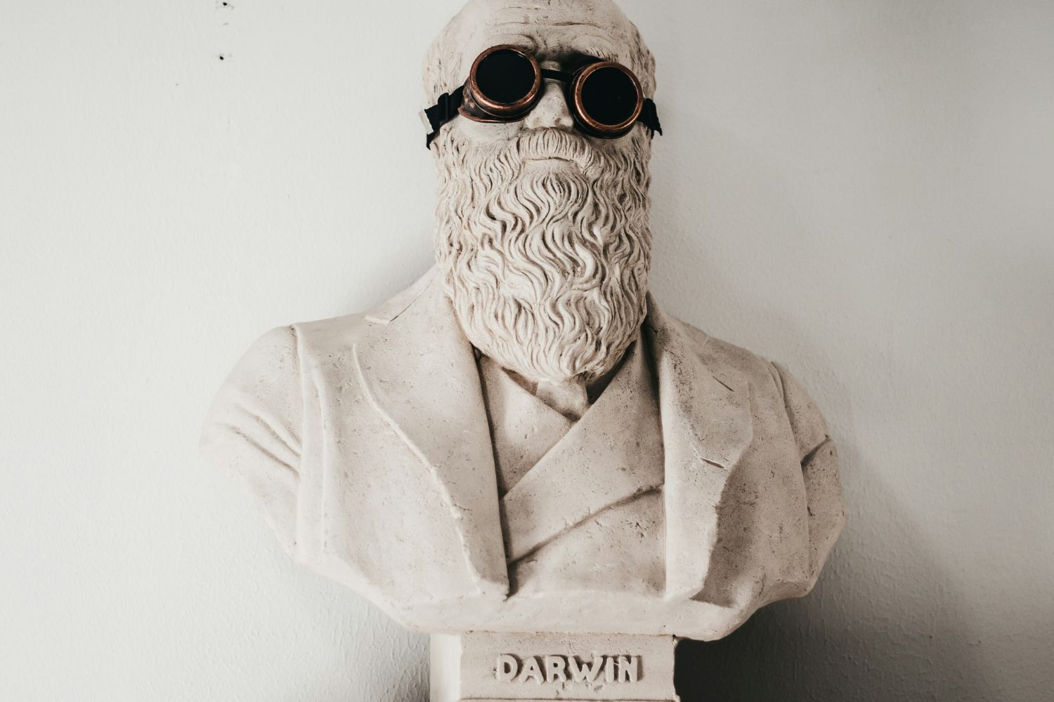 Darwin sospechou há 150 anos que esta pequena planta escondia um segredo: agora a ciência confirmou