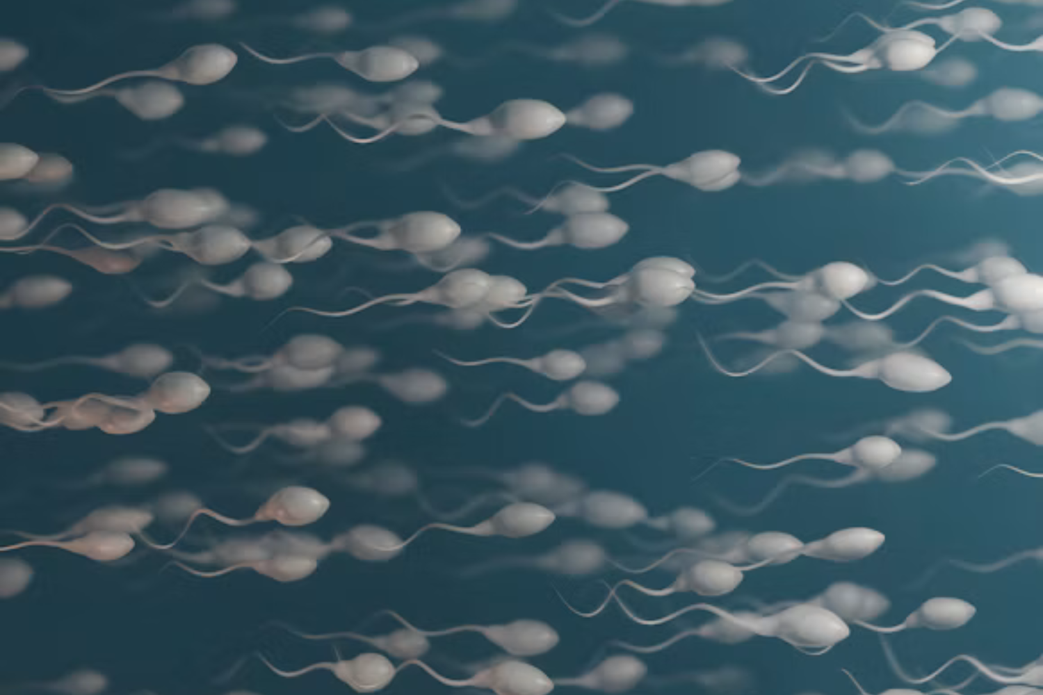 Fertilidade Também Pode Depender Das Bactérias Presentes No Sêmen, Aponta Estudo