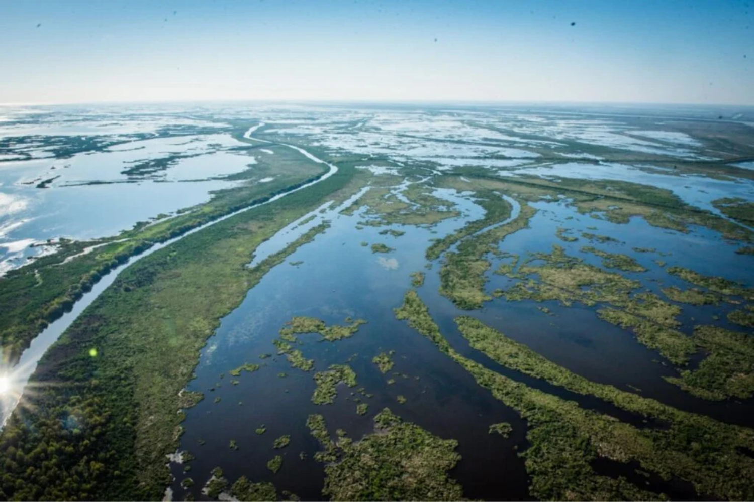 Louisiana2