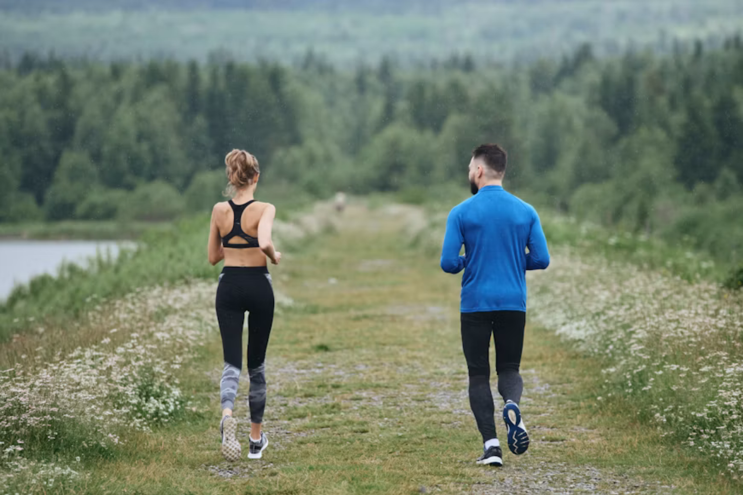 Pelve Masculina Humana Pode Ter Evoluído Como Um “sistema De Molas” Para Caminhar Longas Distâncias