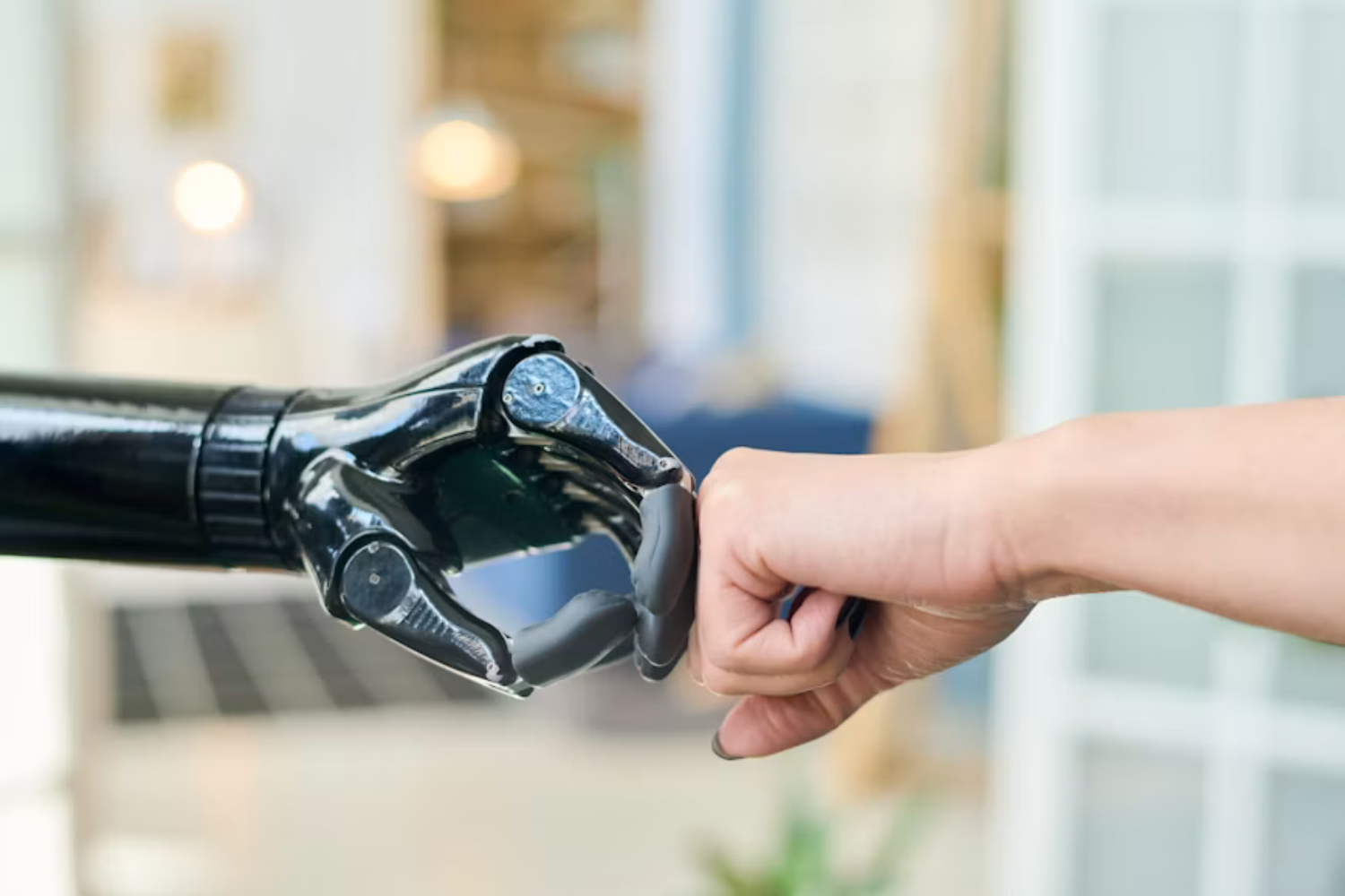 Robôs Precisam Aprender A Conviver Com Humanos Sem Machucá Los