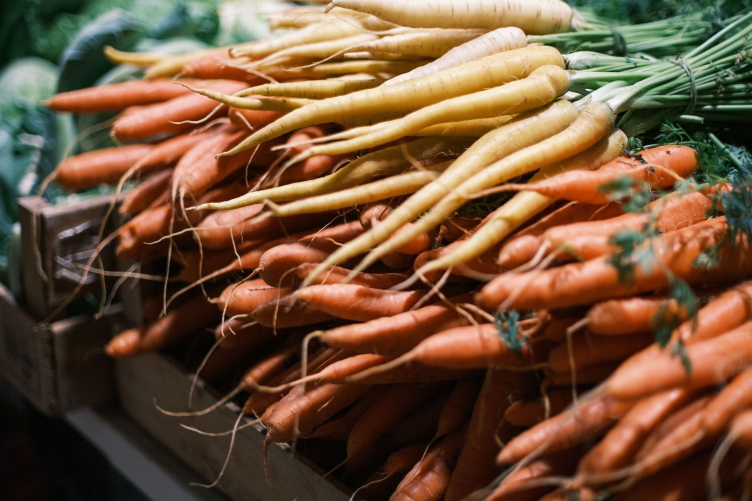 Nem arroz nem lentilha: cientistas apontam quais alimentos poderiam fazer diferença se uma catástrofe global atingisse o planeta