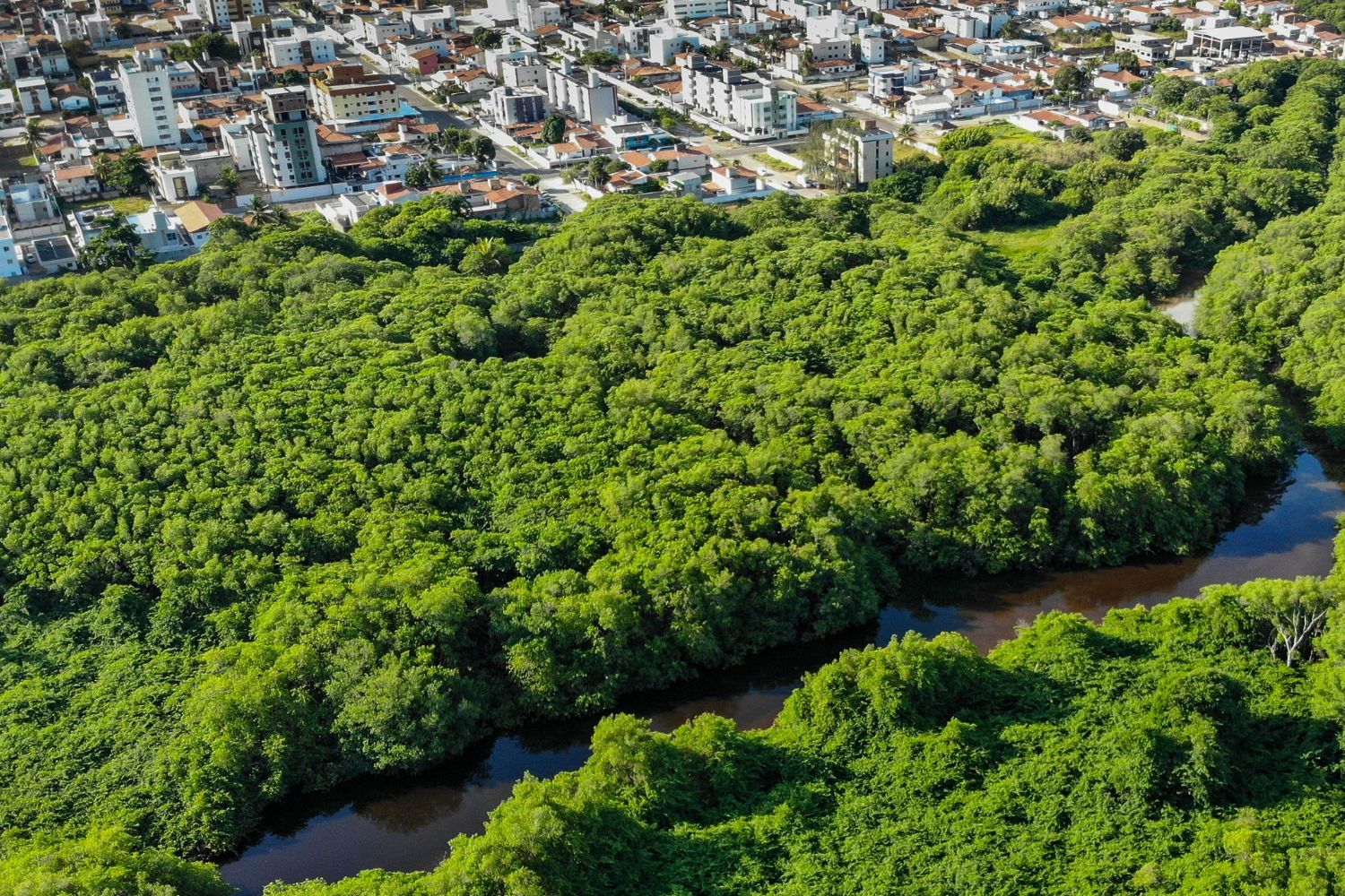 Brasil entra no radar de um El Niño intenso e o que pode acontecer em diferentes regiões preocupa