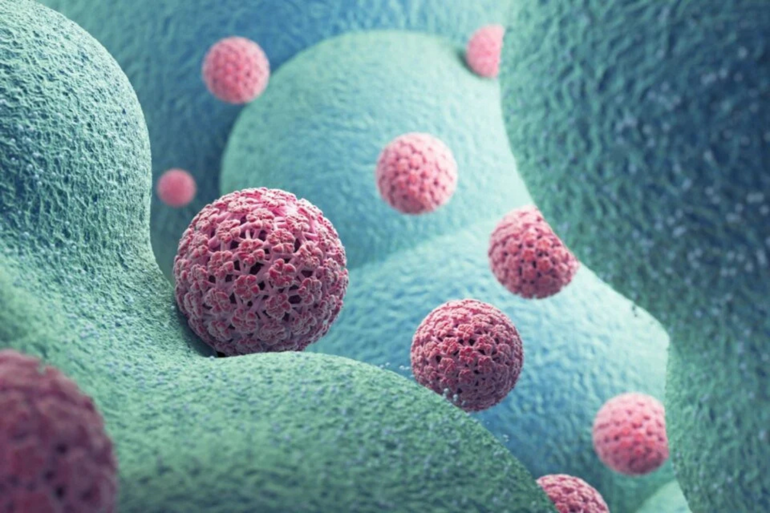 Vacina Contra Hpv Pode Proteger Contra Muito Mais Do Que O Câncer Do Colo Do útero