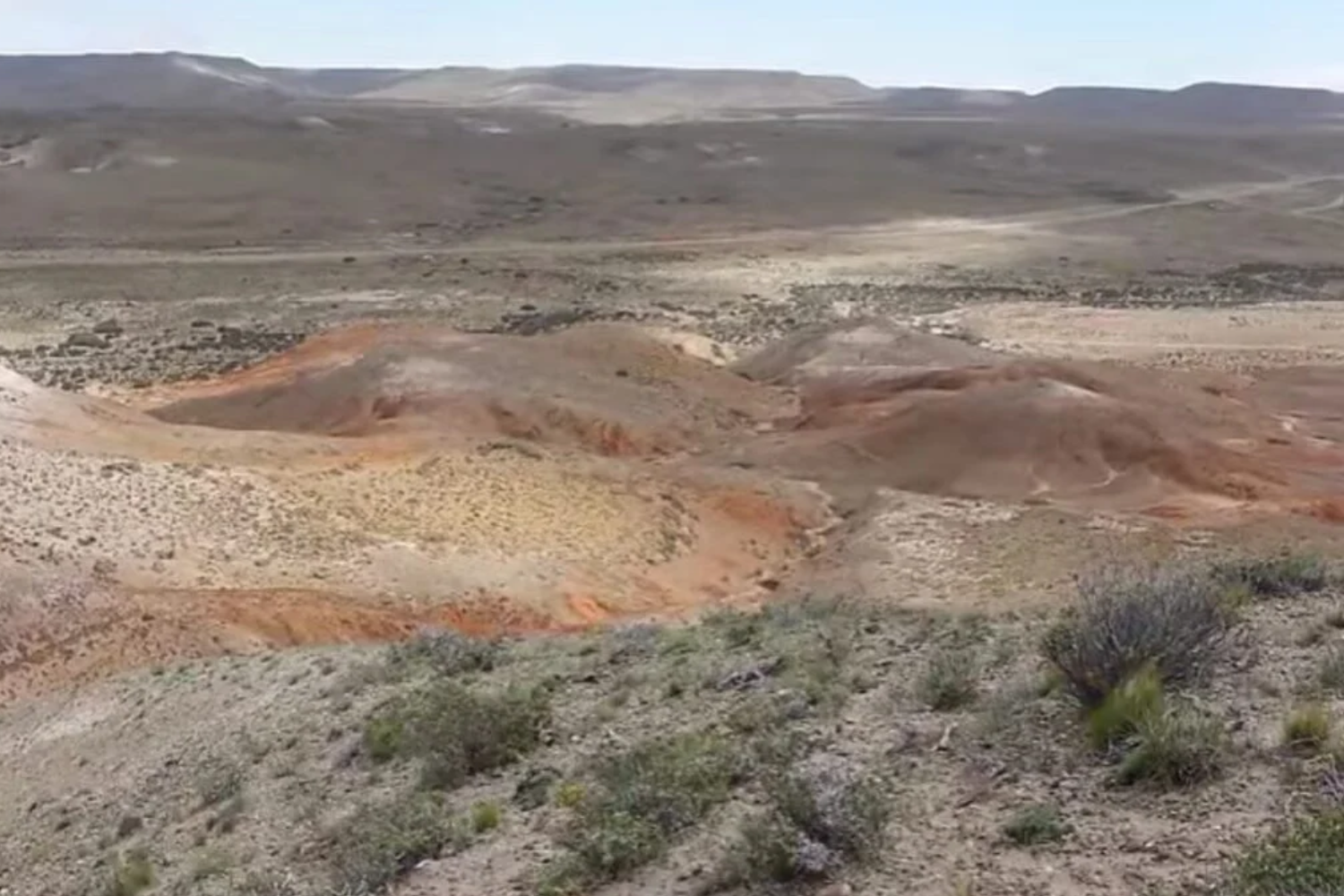 Habitantes Da Patagônia